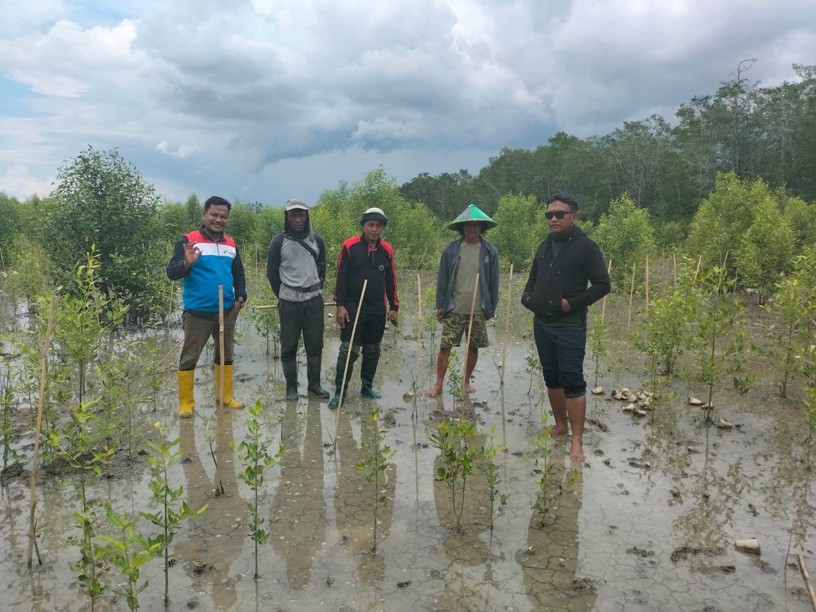 TNBS Kilang Pertamina Plaju Lakukan Konservasi Di Wilayah 3T Sembilang