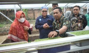 Foto 4 Lampung