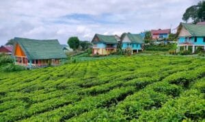 318621836_863824898285548_7208317925661372229_n (1)