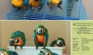 318849815_513429807516137_1789791295899942178_n