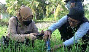 318853601_709980450838280_7161506749894468797_n (1)