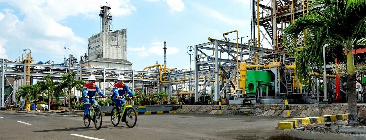 WhatsApp Image 2024-11-18 at 04.17.26