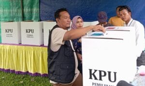 WhatsApp Image 2024-11-27 at 11.42.00