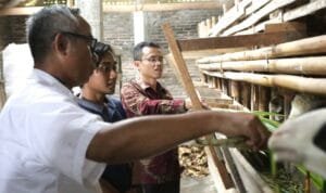 WhatsApp Image 2024-12-03 at 14.47.47