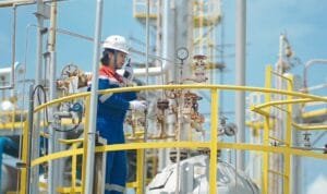 WhatsApp Image 2025-02-03 at 17.22.41_27157c6e