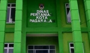 WhatsApp Image 2025-02-03 at 17.51.50_b165cd3e