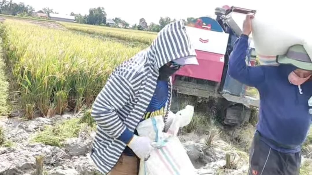 WhatsApp Image 2025-03-13 at 21.15.02_b455caf0