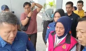 WhatsApp Image 2025-04-17 at 18.54.47_ac635828