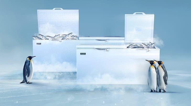 WhatsApp Image 2025-04-25 at 12.57.47_28bfb809