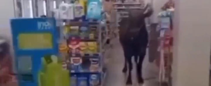 WhatsApp Image 2025-06-05 at 16.14.00