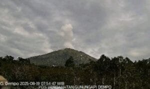 WhatsApp Image 2025-08-19 at 14.24.11