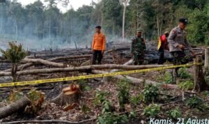 WhatsApp Image 2025-08-22 at 15.20.13