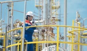 WhatsApp Image 2025-09-01 at 16.39.38