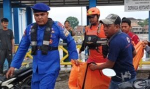 WhatsApp Image 2025-09-02 at 18.51.31