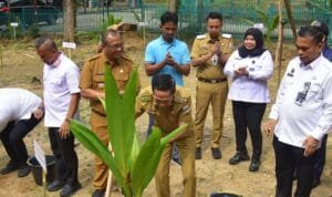 WhatsApp Image 2025-09-09 at 13.53.28