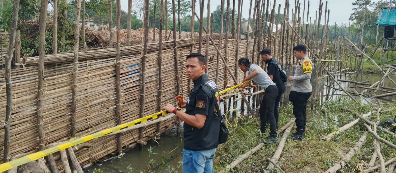 WhatsApp Image 2025-10-14 at 16.43.58