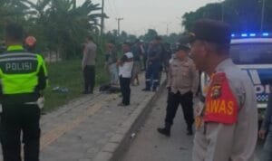 WhatsApp Image 2025-10-27 at 13.42.18