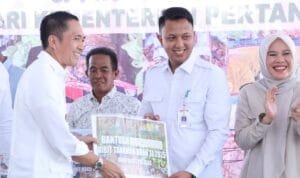 WhatsApp Image 2025-10-29 at 17.05.53