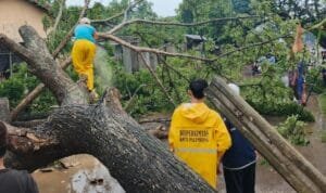 WhatsApp Image 2025-11-10 at 17.02.54