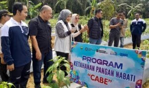 WhatsApp Image 2025-11-11 at 15.52.30