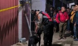 WhatsApp Image 2025-11-26 at 10.28.32