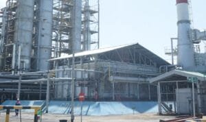 WhatsApp Image 2025-12-08 at 20.09.02