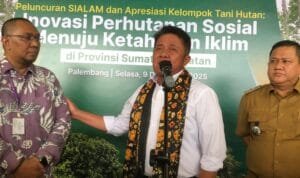 WhatsApp Image 2025-12-09 at 23.43.49