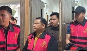 WhatsApp Image 2025-12-24 at 18.16.13