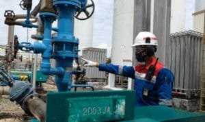 WhatsApp Image 2025-12-26 at 18.48.06