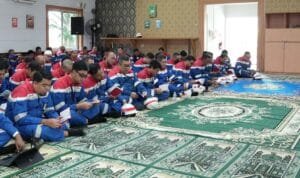 WhatsApp Image 2025-12-31 at 15.03.49