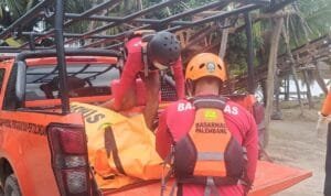 WhatsApp Image 2026-01-02 at 15.51.58