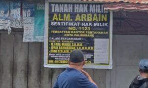 WhatsApp Image 2026-01-03 at 11.04.25