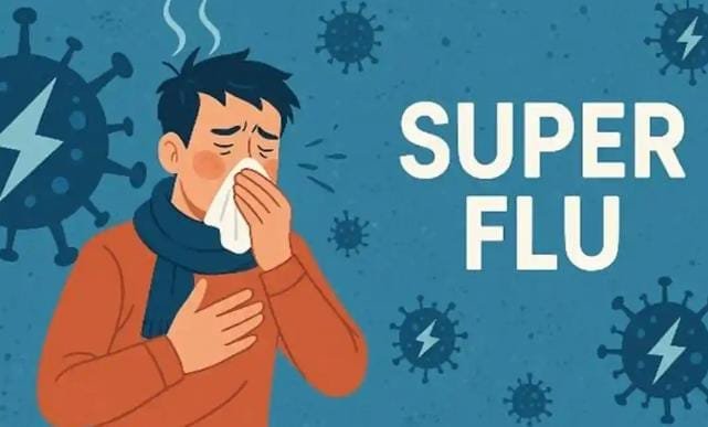 WhatsApp Image 2026-01-05 at 20.08.03