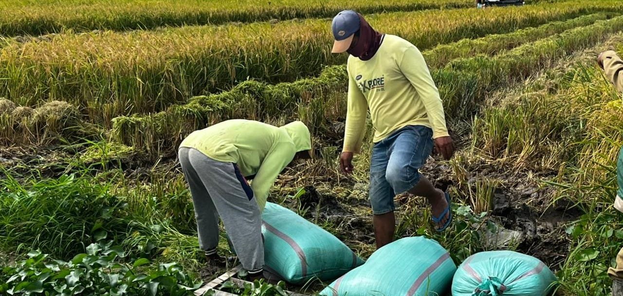 WhatsApp Image 2026-02-03 at 13.58.20