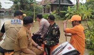 WhatsApp Image 2026-02-03 at 17.51.59