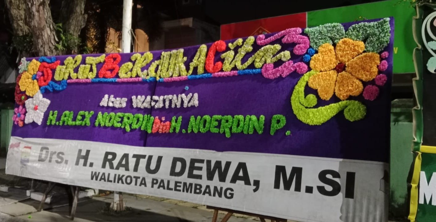 WhatsApp Image 2026-02-25 at 19.56.34