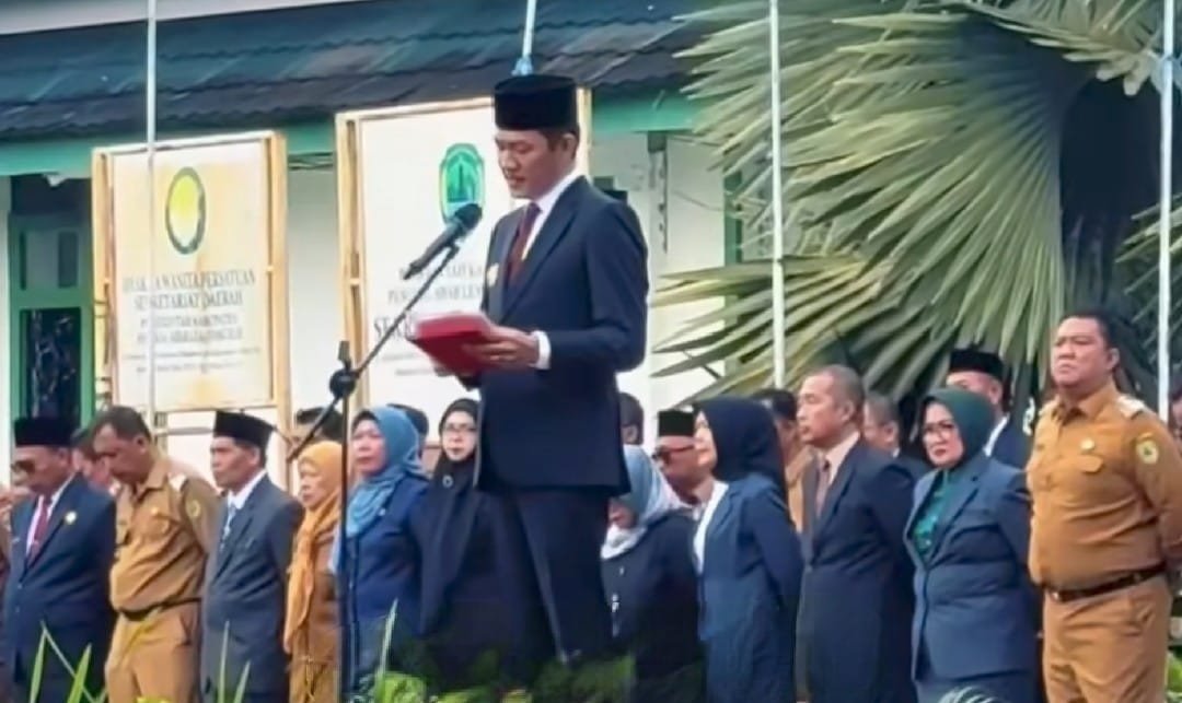 WhatsApp Image 2026-03-30 at 19.28.25