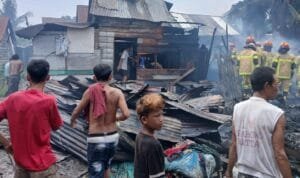 WhatsApp Image 2026-03-31 at 13.24.06