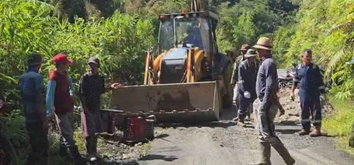 WhatsApp Image 2026-04-06 at 19.52.35