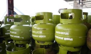 WhatsApp Image 2026-04-10 at 15.35.20