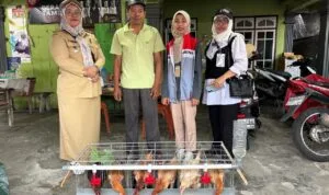 IMG-20260606-WA0154
